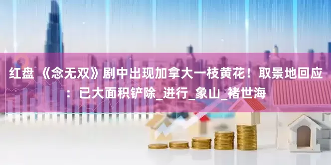 红盘 《念无双》剧中出现加拿大一枝黄花！取景地回应：已大面积铲除_进行_象山_褚世海