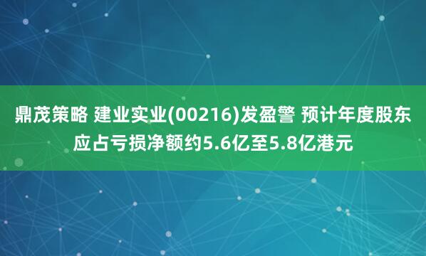 鼎茂策略 建业实业(00216)发盈警 预计年度股东应占亏损净额约5.6亿至5.8亿港元