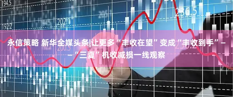 永信策略 新华全媒头条|让更多“丰收在望”变成“丰收到手”——“三夏”机收减损一线观察