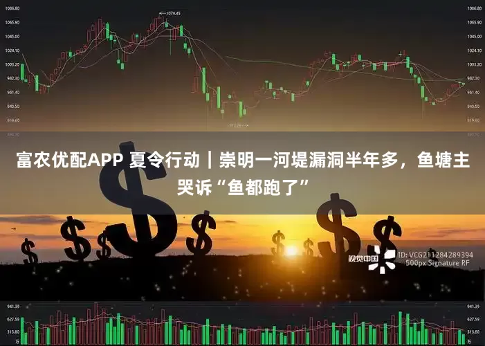 富农优配APP 夏令行动｜崇明一河堤漏洞半年多，鱼塘主哭诉“鱼都跑了”