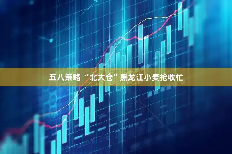 五八策略 “北大仓”黑龙江小麦抢收忙
